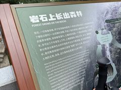 -三叠泉瀑布