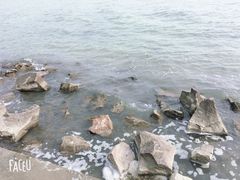 -贡湖湾湿地公园
