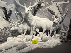 -中国湿地博物馆