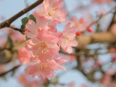 -昆山城市公园