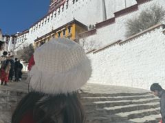 -布达拉宫