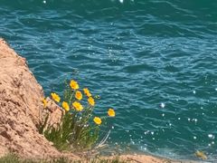 -青岛第三海水浴场
