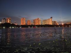 -莲花池公园