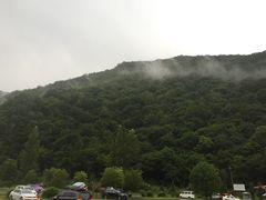 -望天鹅景区