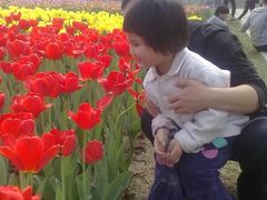 -石家庄市植物园