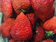 -壹号果仓(常熟三店)