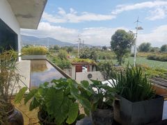 -翠田Green Field Kitchen