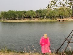 -东郊湿地公园