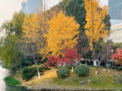 -钱江新城