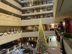-天津燕园国际大酒店