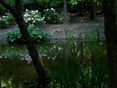 -上海滨江森林公园