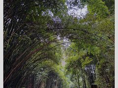 -凤栖山