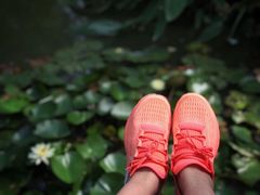 -合肥滨湖国家森林公园