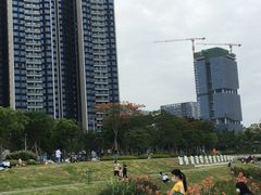 -光明小镇欢乐田园