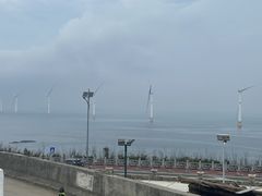 -坛南湾阿强农家乐.海鲜大排档老字号(福州地标美食店)