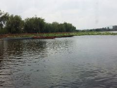 android_upload_pic-五甲塘生态湿地公园