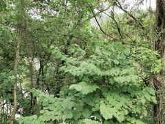 -白公馆