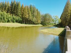 -黄海国家森林公园