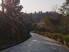 -峙山公园