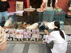 -中海环宇荟