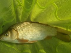 -酷鱼垂钓CLUB(朝阳区博大路店 )