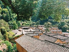 -杨家堂村