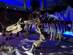 -亿利库布其七星湖沙漠生态旅游区