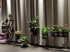 -海底捞火锅(大学路新象城店)