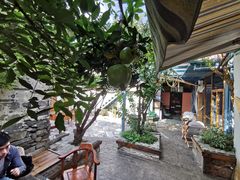 -喵屿·大理花园猫咖