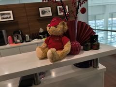 -上海永达捷豹路虎4S旗舰店