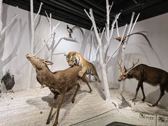 -南宫五洲植物乐园