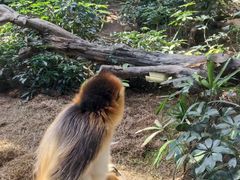 -香港海洋公园