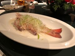 -三号黄浦会Canton Table