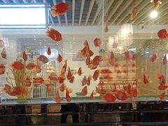 -玲珑汤泉生活会馆(花桥店)