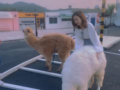 -Blue Concept Cafe&Farm·關於藍
