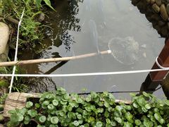 -万景饭店·鱼街农家菜