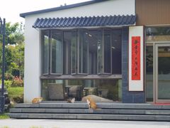 -东台西溪天仙缘景区