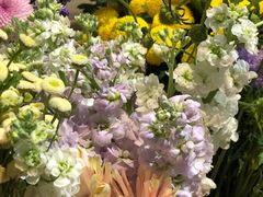 -植物学家的女儿(北马道巷店)