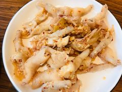 -大队长大灶鹅