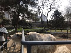 -长白岛森林公园