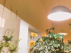 -树咖啡tree coffee