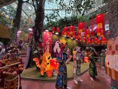 -正佳雨林生态植物园