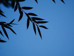 -白河湾生态旅游一条川