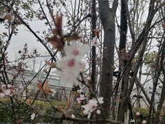 -艾溪湖湿地公园