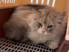 -佳雯宠物医院·皮肤科·内外科(春晓路分院)