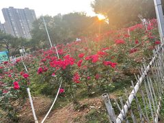 -奥园广场(广州番禺福德路店)