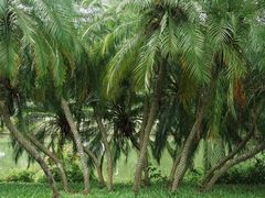 -人民公园(罗湖区)