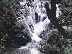-莫里热带雨林景区