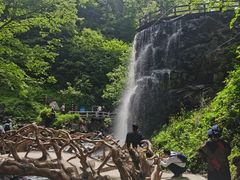 -凤凰山国家森林公园