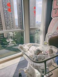 -大美母婴月子中心(希尔顿店)